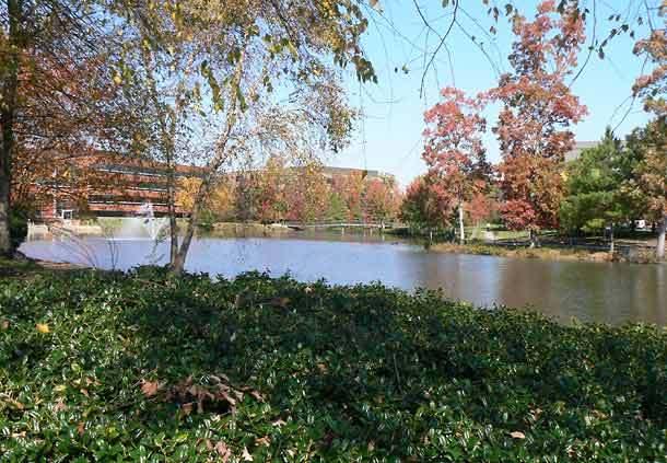 Richmond Marriott Short Pump - thumb 7