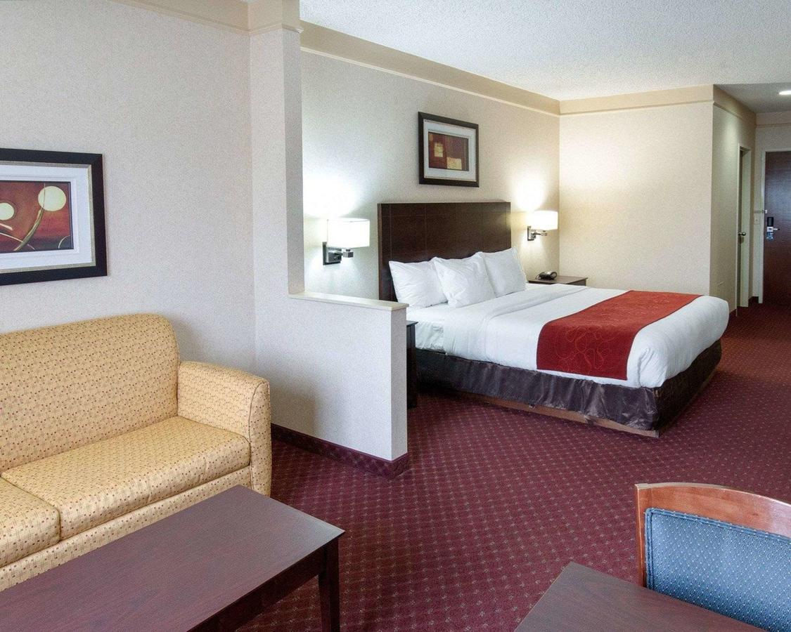 Comfort Suites Parkersburg South - thumb 27