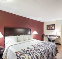 Red Roof Inn - Milwaukee Airport - Accommodation San Jose