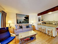 1410 Ski Run Blvd Condo Unit 3 Accommodation San Jose