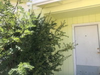 Almost home  Reasons family guest home Accommodation San Jose