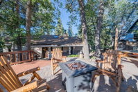 Apple Bear Cottage Accommodation San Jose