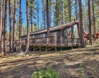 Brown Bear in the Woods of Tahoe Hot Tub Ski House Accommodation San Jose