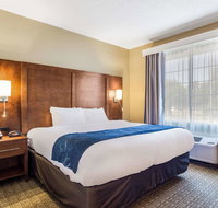 Comfort Suites - Accommodation San Jose