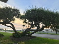 F5- Seaside Manor Accommodation San Jose