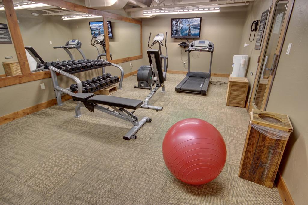 Jack Pine 8025 - thumb 1