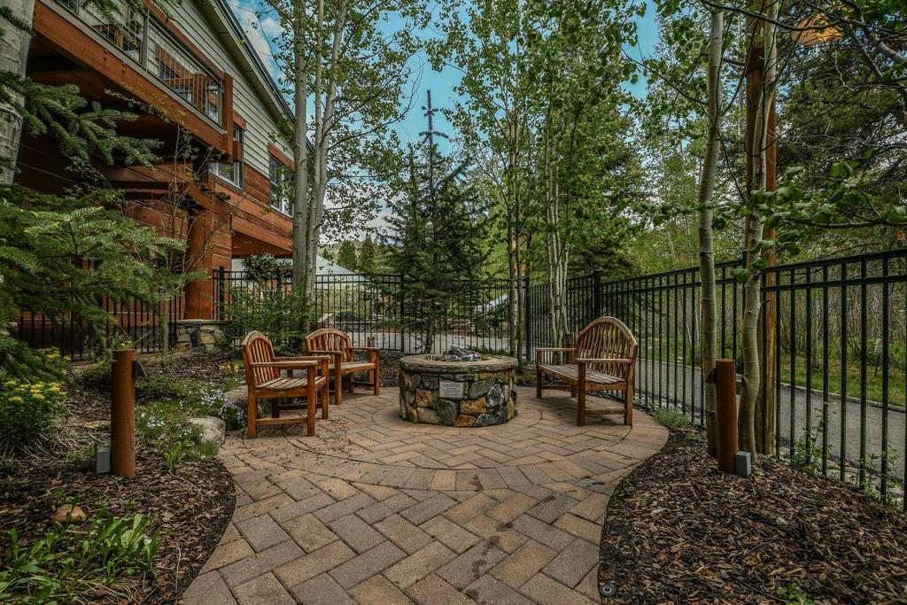 Jack Pine 8025 - thumb 3