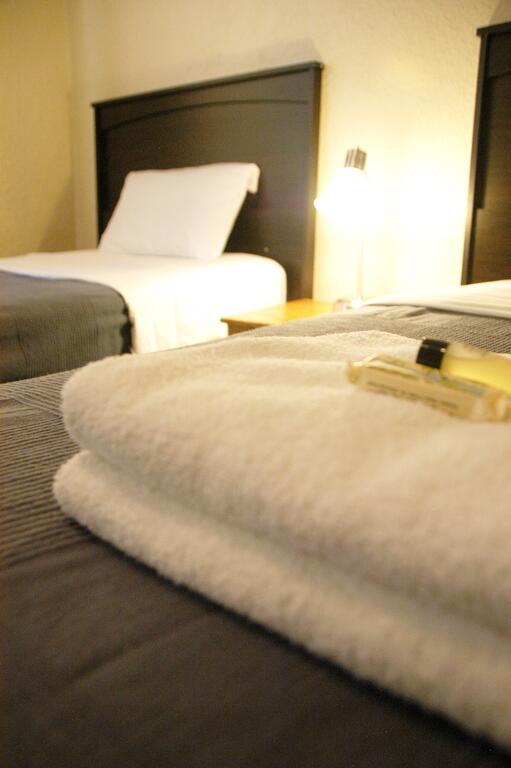 Little Tokyo Hotel - thumb 3