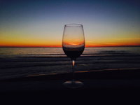 Ocean Front Getaway in La Selva Beach Accommodation San Jose