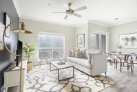Book San Diego Hotels, Accommodation San Jose Accommodation San Jose