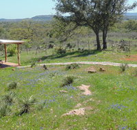Texas T Bed and Breakfast - Accommodation San Jose