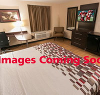 Red Roof Inn PLUS Tuscaloosa - University - Accommodation San Jose