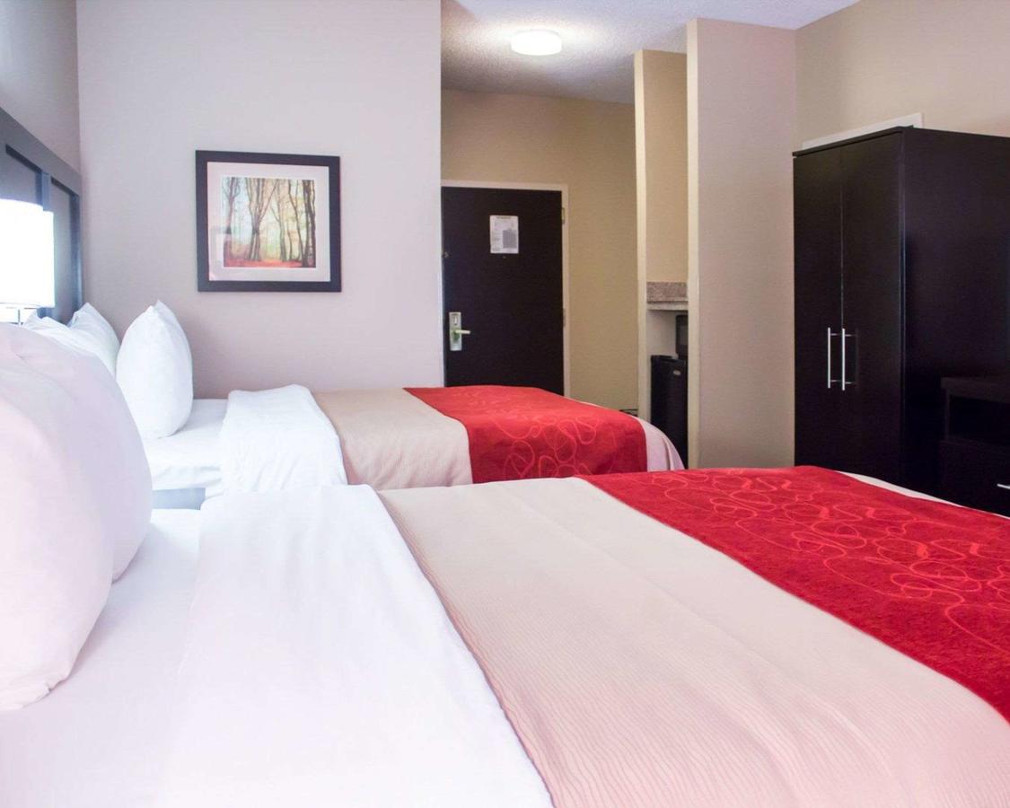 Comfort Inn & Suites Trussville I-59 Exit 141 - thumb 6