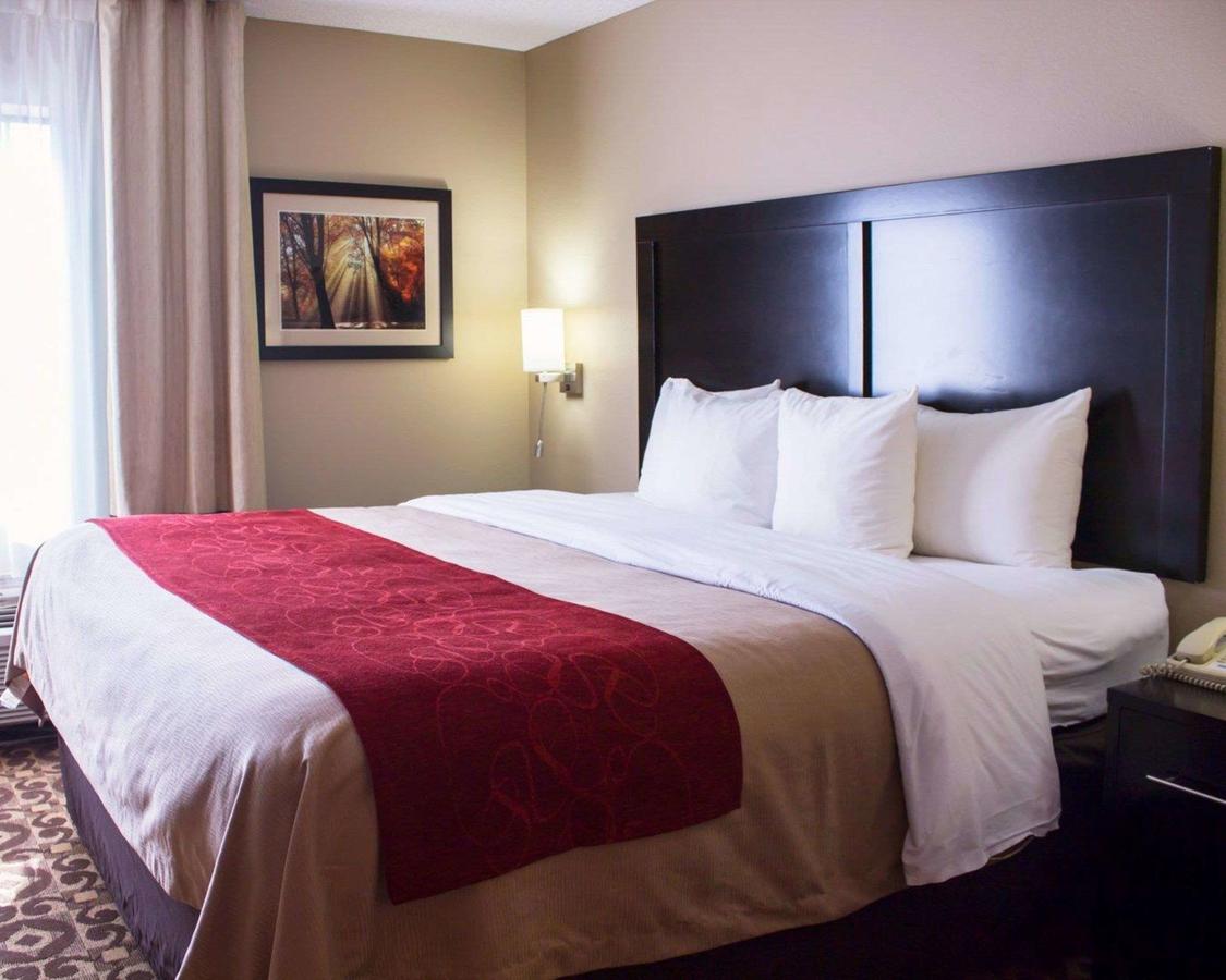 Comfort Inn & Suites Trussville I-59 Exit 141 - thumb 17