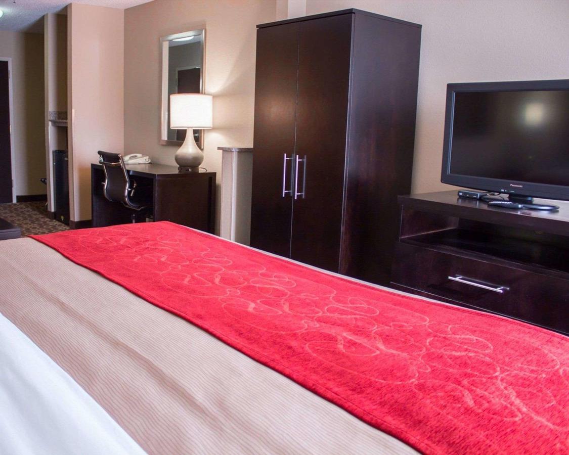 Comfort Inn & Suites Trussville I-59 Exit 141 - thumb 22