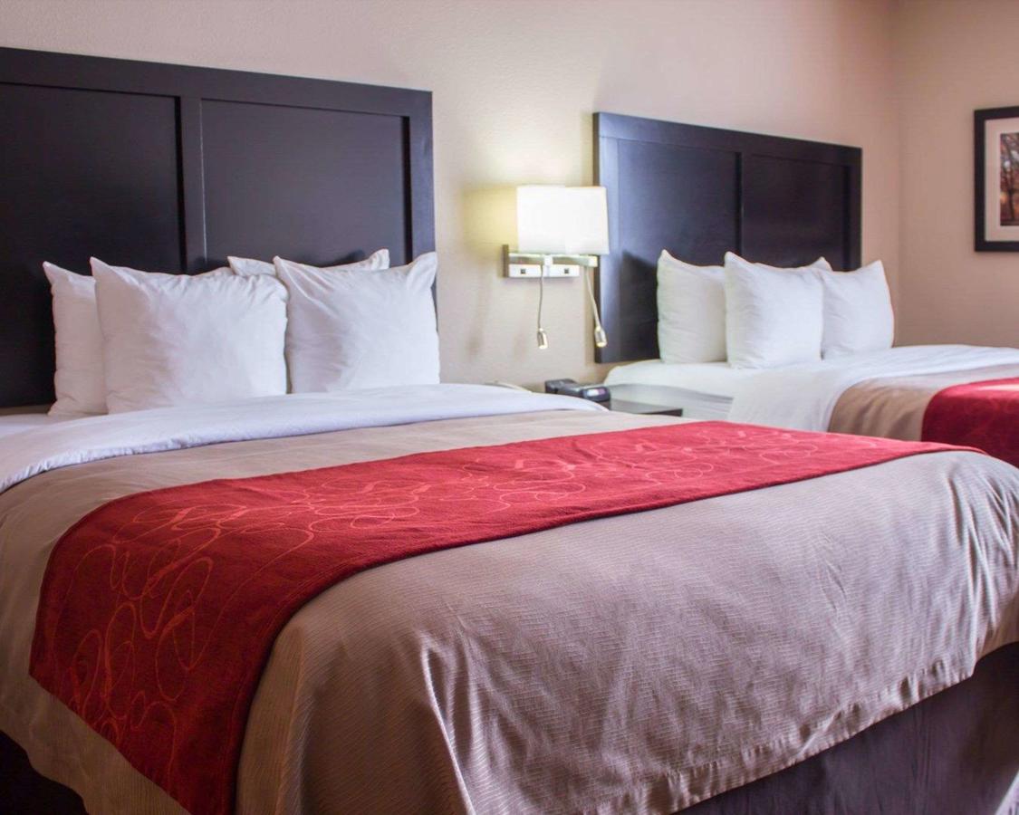 Comfort Inn & Suites Trussville I-59 Exit 141 - thumb 7