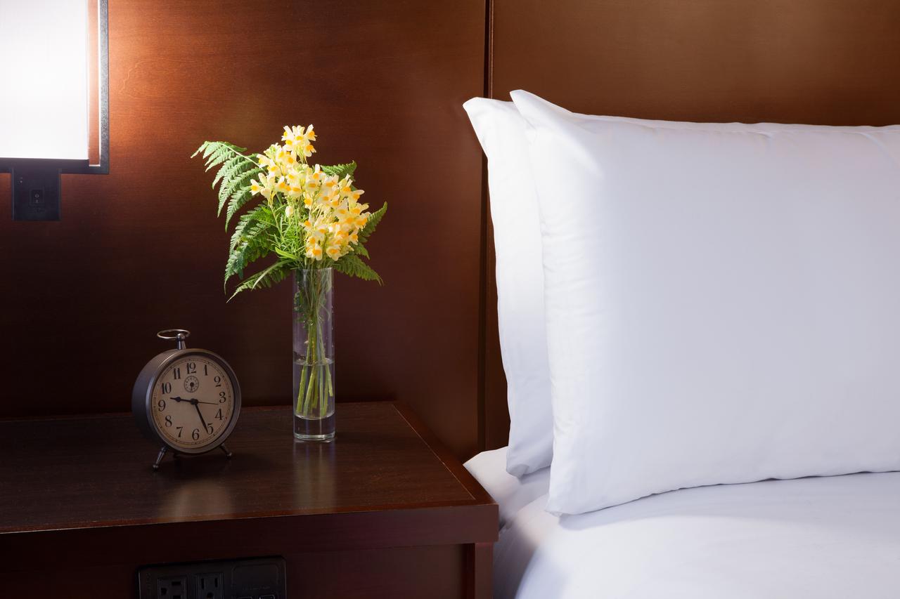 The Lakefront Anchorage - thumb 3