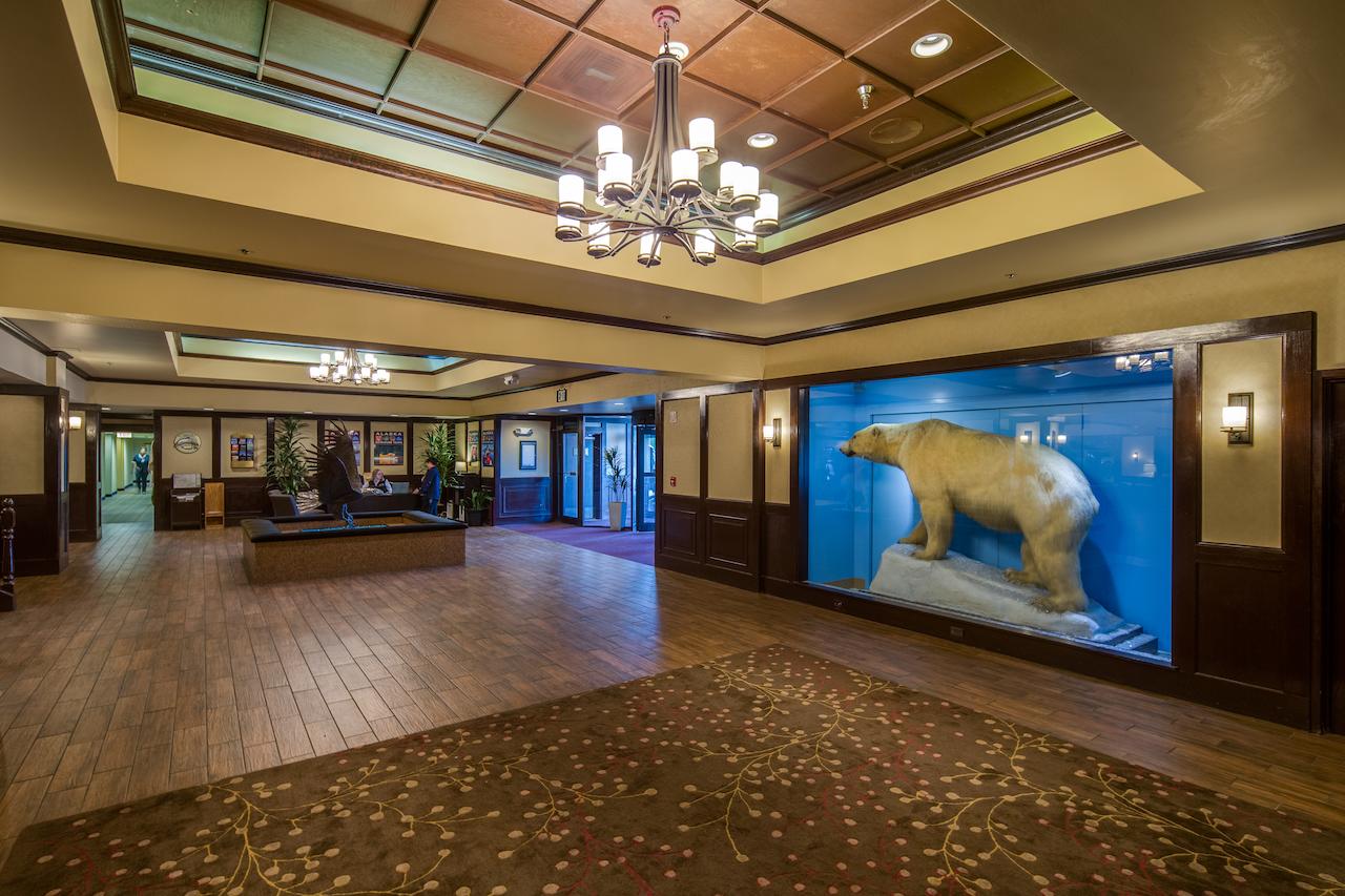 The Lakefront Anchorage - thumb 20