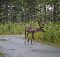 All Seasons BB - Accommodation San Jose