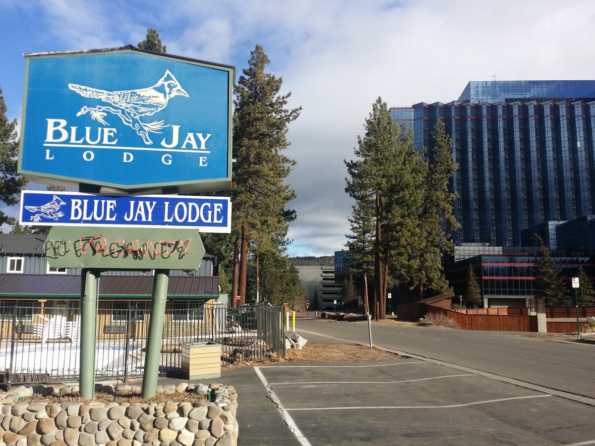 Blue Jay Lodge - thumb 6