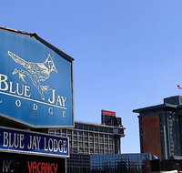 Blue Jay Lodge - Accommodation San Jose