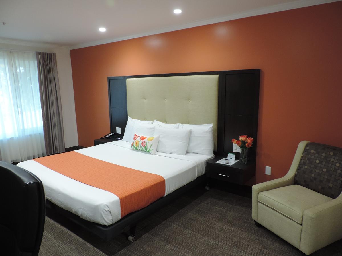 Pavilion Inn - thumb 12