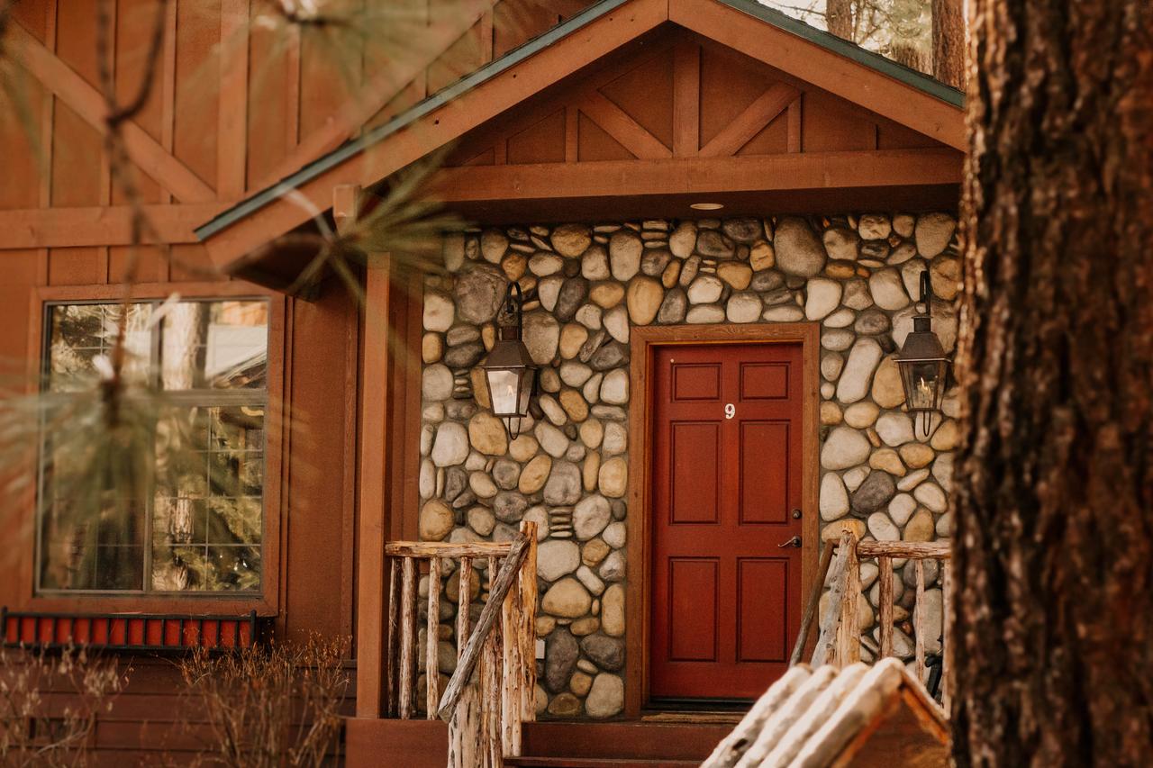 Black Bear Lodge - thumb 4