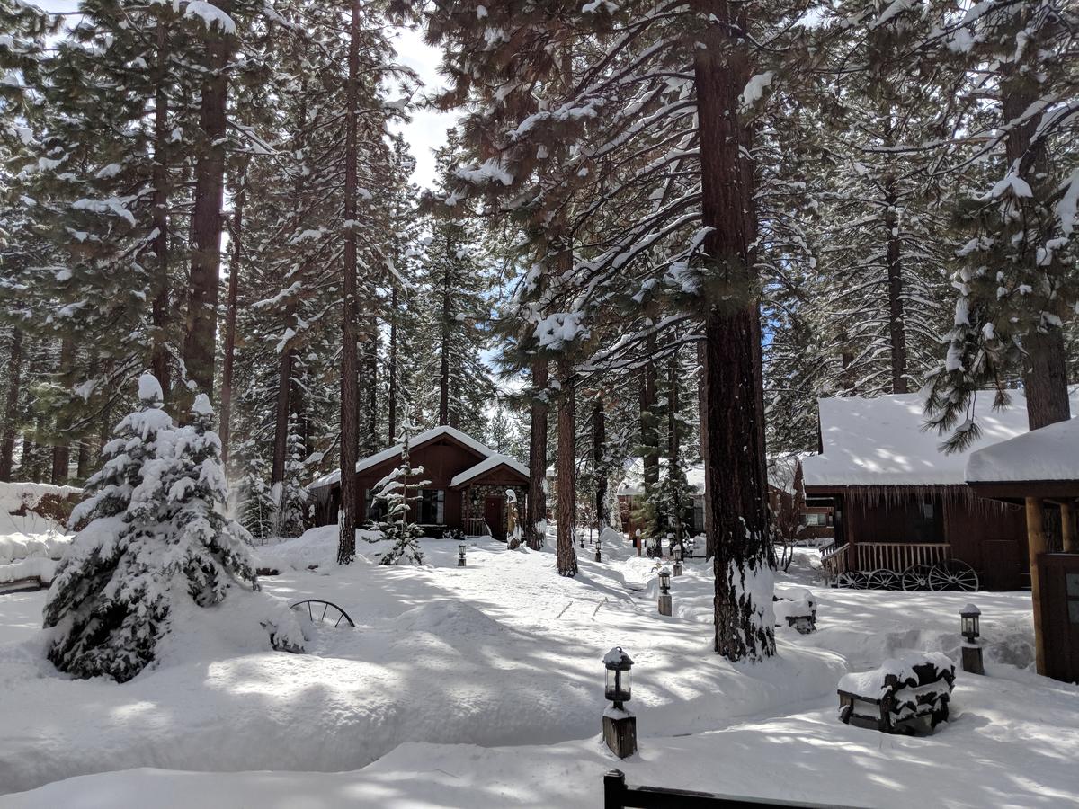 Black Bear Lodge - thumb 42
