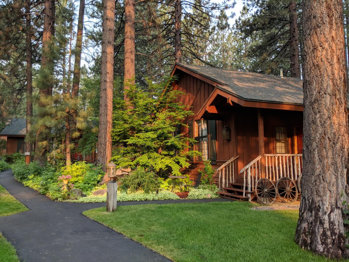 Black Bear Lodge - thumb 44