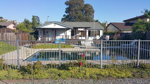 Mark's Poolside Retreat