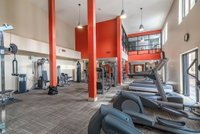 Amazing Apartments near the grove Accommodation San Jose