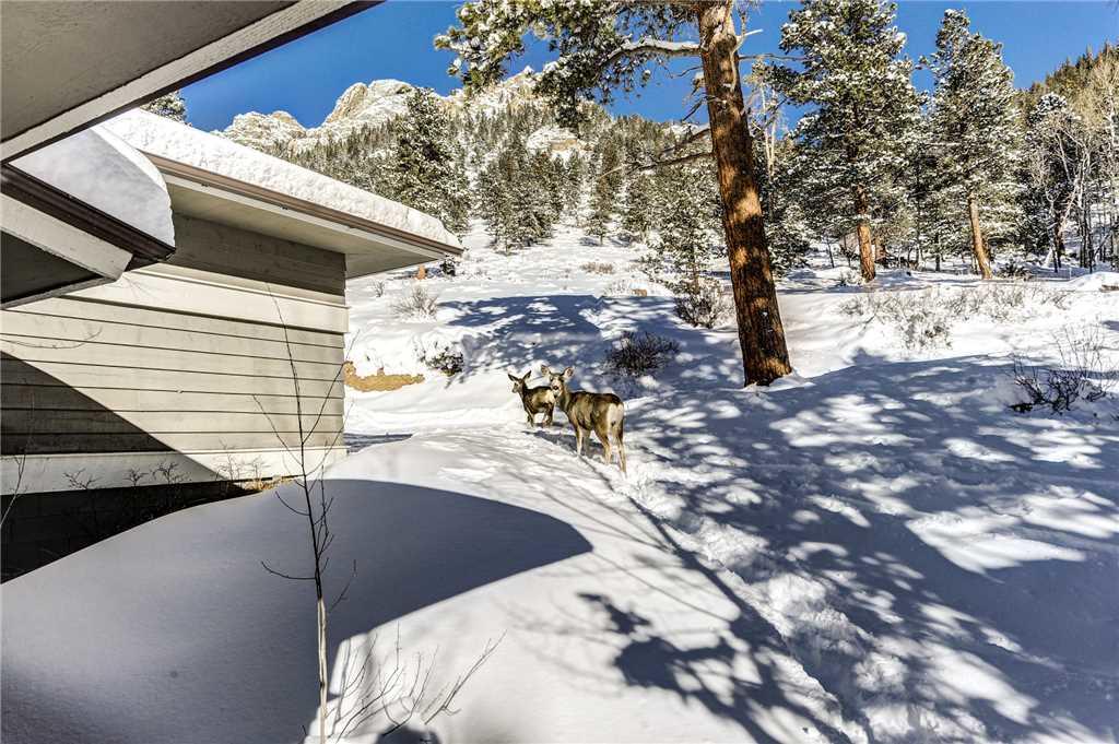 Adams Condominium (2 Bedroom Condo) - thumb 22