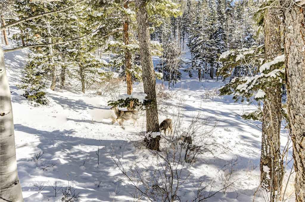 Adams Condominium (2 Bedroom Condo) - thumb 14