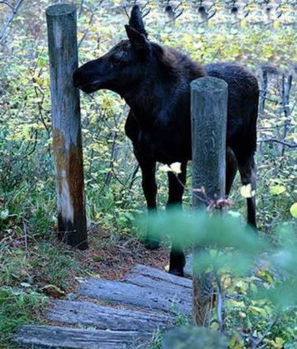 Jackson Hole Hideout - thumb 0