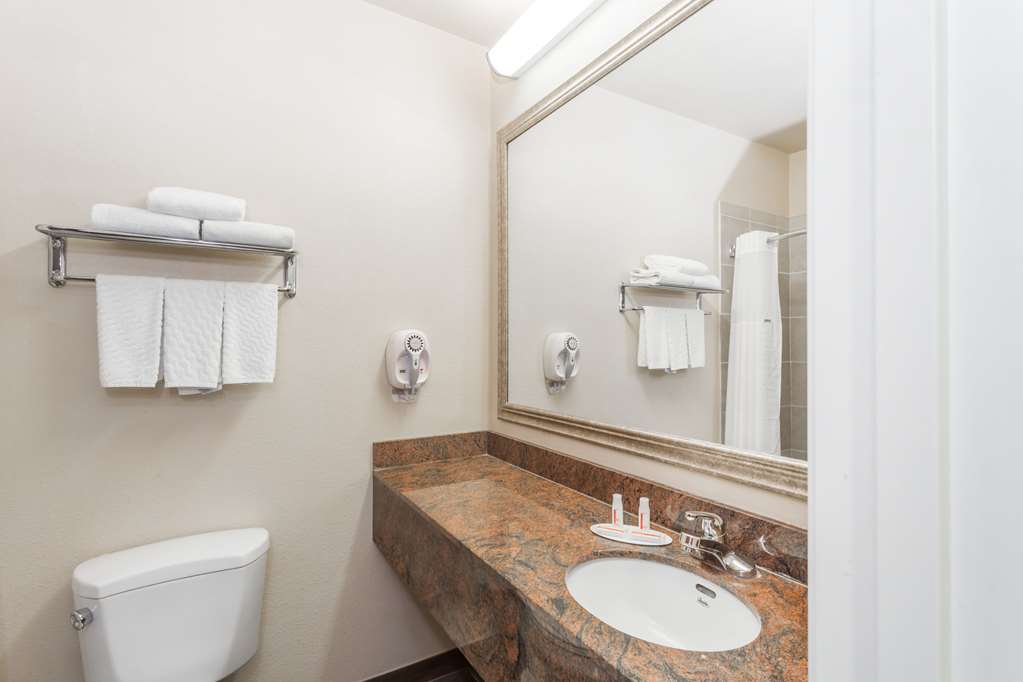 Baymont Inn & Suites  Garden City - thumb 10