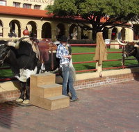 6-Hour Guided Best of Fort Worth Historical Tour - Accommodation San Jose