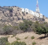 Half Day Hollywood and Beverly Hills Tour - Accommodation San Jose