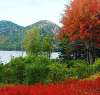 Narrated Bus Tour of Bar Harbor and Acadia National Park Classic - 2.5 Hours - Accommodation San Jose