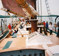 2-Hour Windjammer Sailing Trip in Maine with Licensed Captain - Accommodation San Jose