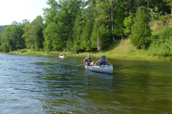 Manistee River Canoeing Day Tour - thumb 1