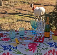 Private Picnic with Goats in Lexington - Accommodation San Jose
