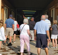 Unique Horse Farm Tours with Insider Access to Private Farms - Accommodation San Jose