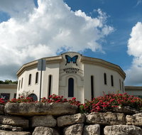 Branson Butterfly Palace Admission Ticket - Accommodation San Jose