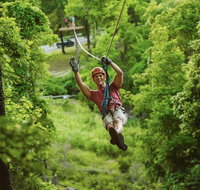 Zipline Canopy Tour in Branson - Accommodation San Jose