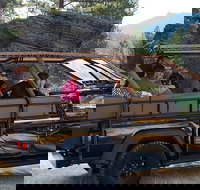 Jeep Bison Safari - Custer State Park - Accommodation San Jose