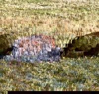 Private Tour - Badlands Delta 9 Missile Museum  Wall Drug - Accommodation San Jose