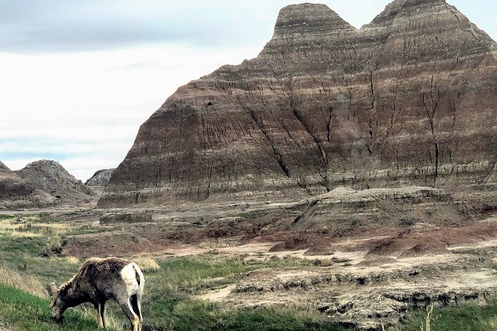 Private Tour - Badlands, Delta 9 Missile Museum, & Wall Drug - thumb 5