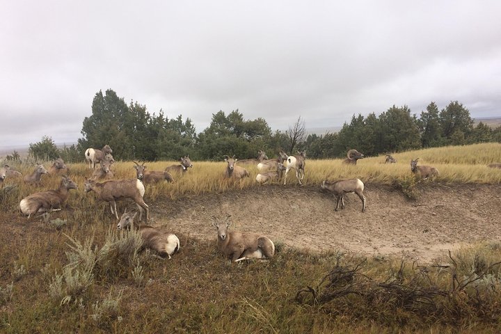Private Badlands National Park Day Tour - thumb 0