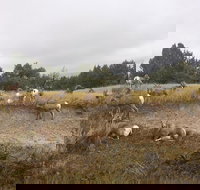 Private Badlands National Park Day Tour - Accommodation San Jose