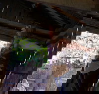 Cosmos Mystery Area Admission - Accommodation San Jose